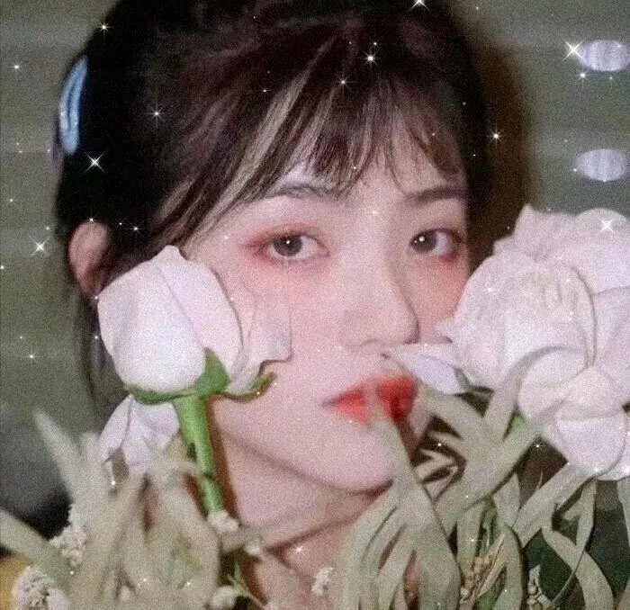 古树旋律 剧场版